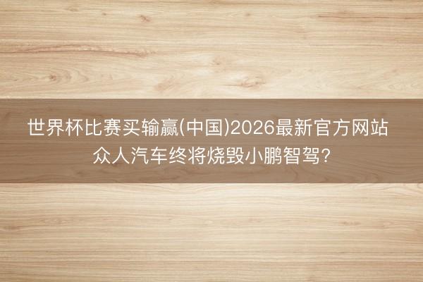 世界杯比赛买输赢(中国)2026最新官方网站 众人汽车终将烧毁小鹏智驾?
