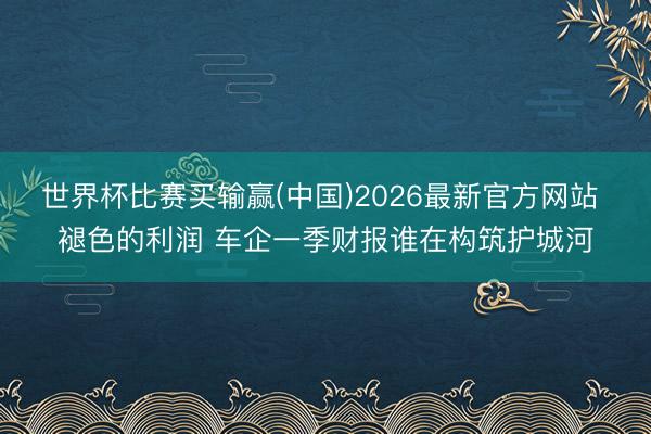 世界杯比赛买输赢(中国)2026最新官方网站 褪色的利润 车企一季财报谁在构筑护城河