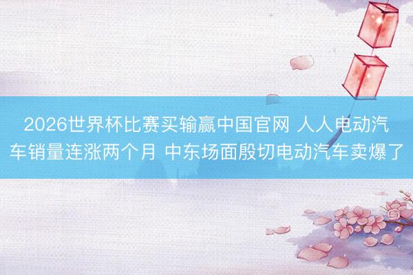 2026世界杯比赛买输赢中国官网 人人电动汽车销量连涨两个月 中东场面殷切电动汽车卖爆了