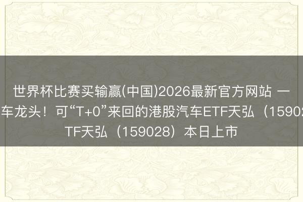 世界杯比赛买输赢(中国)2026最新官方网站 一键设立港股汽车龙头！可“T+0”来回的港股汽车ETF天弘（159028）本日上市