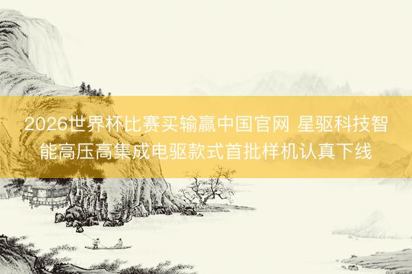 2026世界杯比赛买输赢中国官网 星驱科技智能高压高集成电驱款式首批样机认真下线