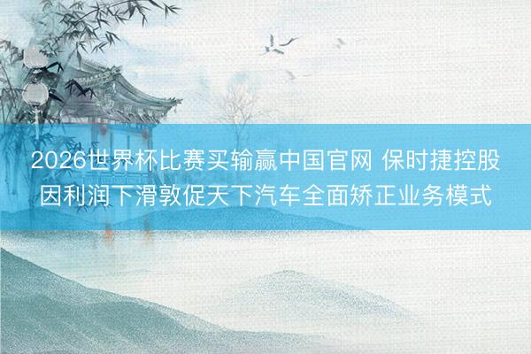 2026世界杯比赛买输赢中国官网 保时捷控股因利润下滑敦促天下汽车全面矫正业务模式