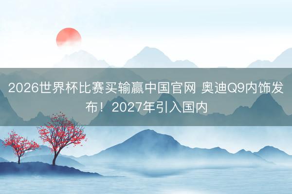2026世界杯比赛买输赢中国官网 奥迪Q9内饰发布！2027年引入国内