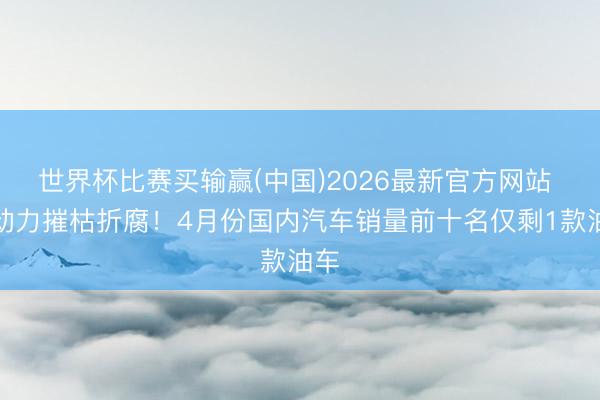 世界杯比赛买输赢(中国)2026最新官方网站 新动力摧枯折腐!4月份国内汽车销量前十名仅剩1款油车