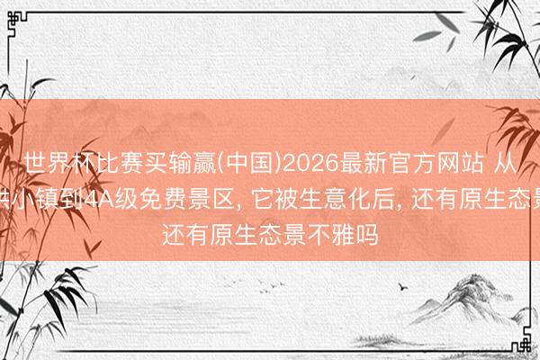 世界杯比赛买输赢(中国)2026最新官方网站 从陕南瞒哄小镇到4A级免费景区， 它被生意化后， 还有原生态景不雅吗