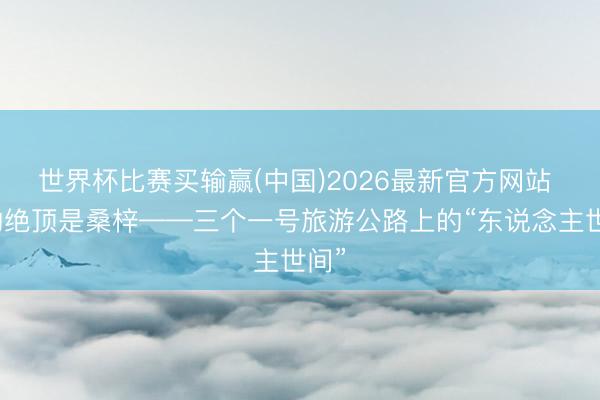 世界杯比赛买输赢(中国)2026最新官方网站 路的绝顶是桑梓——三个一号旅游公路上的“东说念主世间”