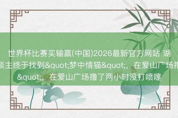 世界杯比赛买输赢(中国)2026最新官方网站 湖州探店｜过敏星东谈主终于找到"梦中情猫"，在爱山广场撸了两小时没打喷嚏