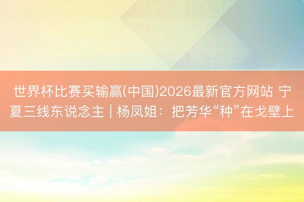 世界杯比赛买输赢(中国)2026最新官方网站 宁夏三线东说念主 | 杨凤姐：把芳华“种”在戈壁上