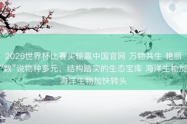 2026世界杯比赛买输赢中国官网 万物共生 艳丽中国 | “数”说物种多元、结构踏实的生态宝库 海洋生物加快转头