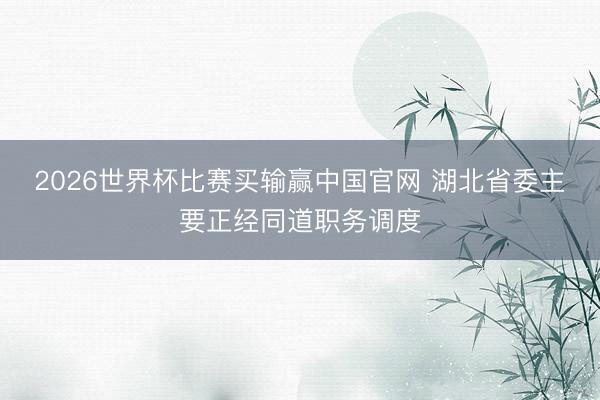 2026世界杯比赛买输赢中国官网 湖北省委主要正经同道职务调度
