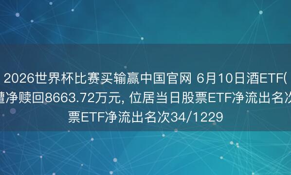 2026世界杯比赛买输赢中国官网 6月10日酒ETF(512690)遭净赎回8663.72万元， 位居当日股票ETF净流出名次34/1229