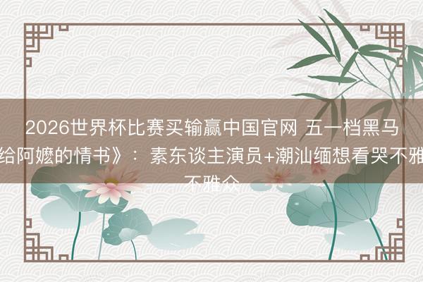 2026世界杯比赛买输赢中国官网 五一档黑马《给阿嬷的情书》：素东谈主演员+潮汕缅想看哭不雅众