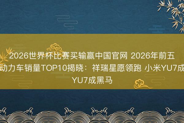 2026世界杯比赛买输赢中国官网 2026年前五月新动力车销量TOP10揭晓:祥瑞星愿领跑 小米YU7成黑马