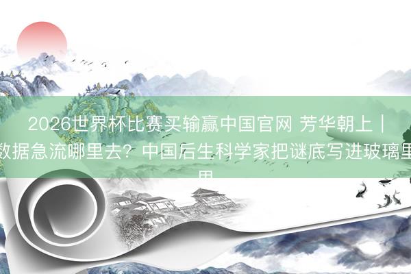 2026世界杯比赛买输赢中国官网 芳华朝上|数据急流哪里去?中国后生科学家把谜底写进玻璃里