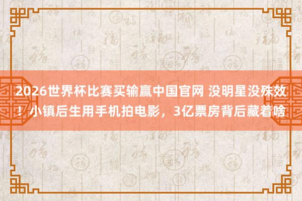 2026世界杯比赛买输赢中国官网 没明星没殊效!小镇后生用手机拍电影,3亿票房背后藏着啥